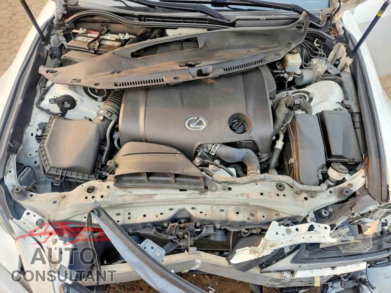 LEXUS IS 2014 - JTHBF1D29E5024511