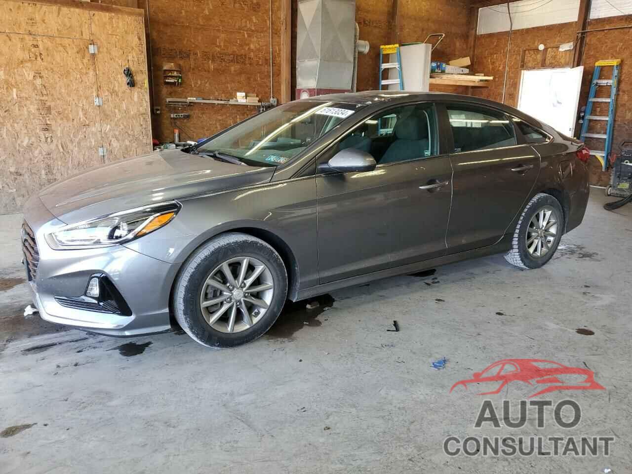 HYUNDAI SONATA 2019 - 5NPE24AF6KH757128