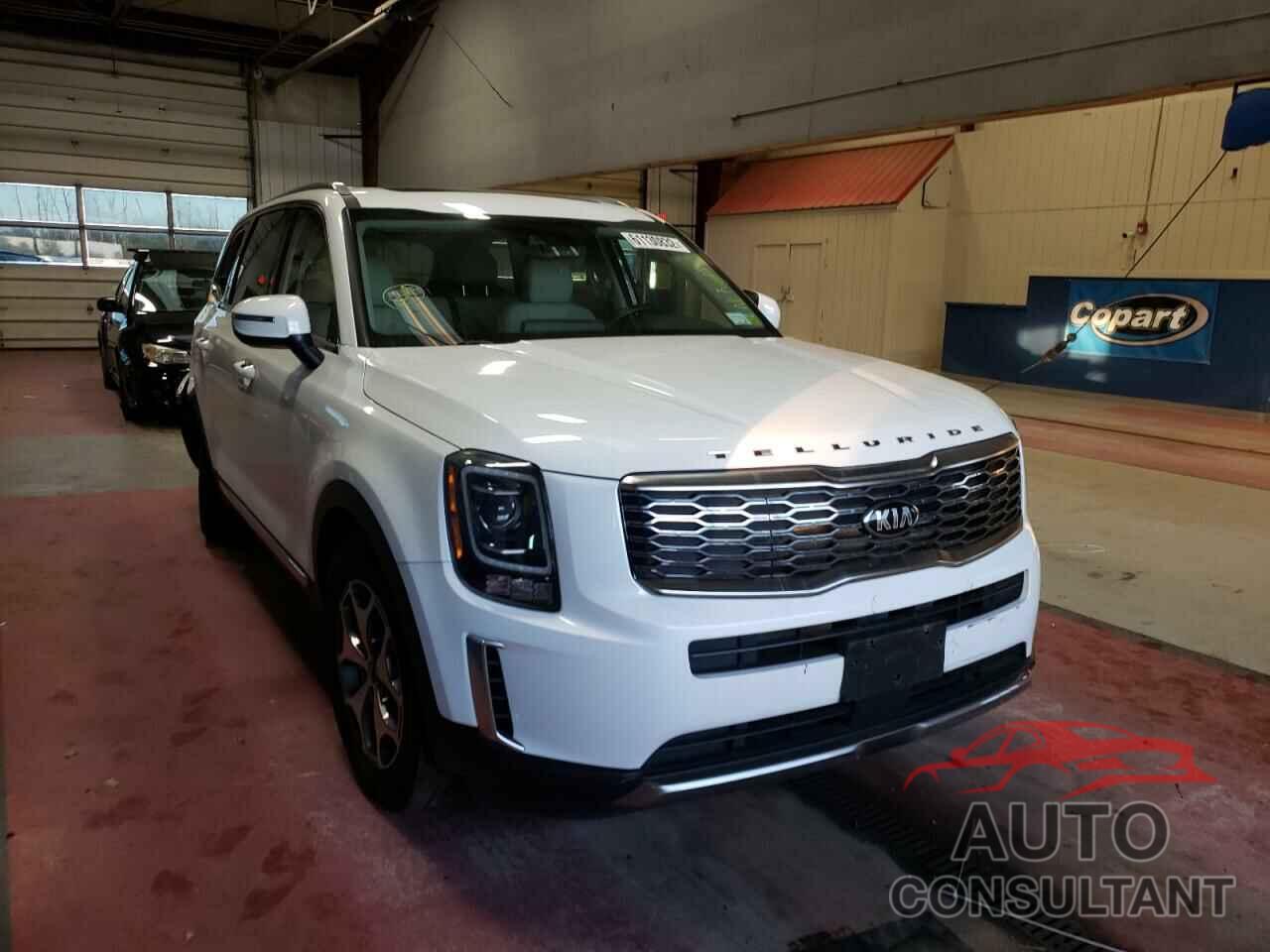 KIA TELLURIDE 2020 - 5XYP3DHC3LG011083