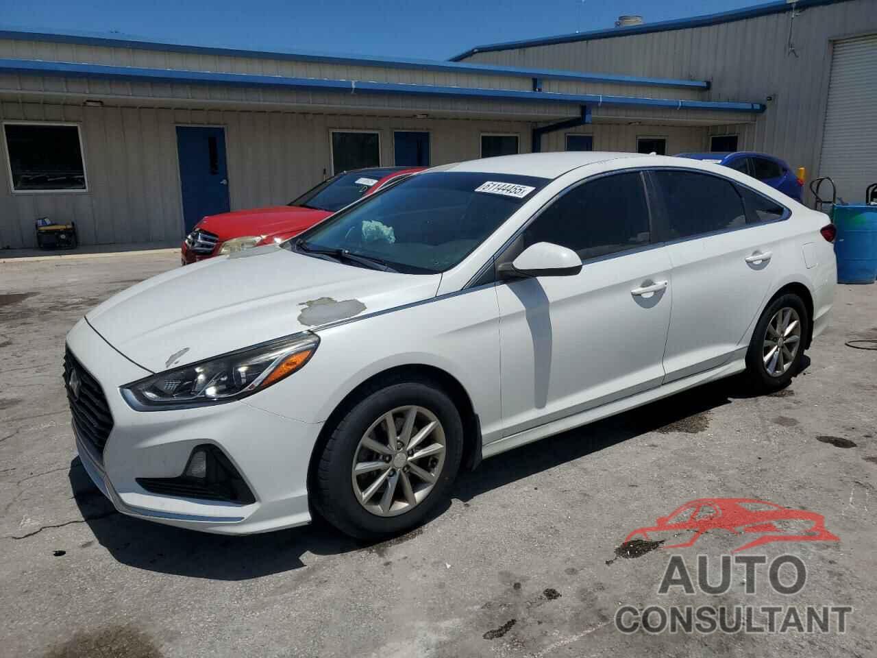 HYUNDAI SONATA 2019 - 5NPE24AF3KH781564