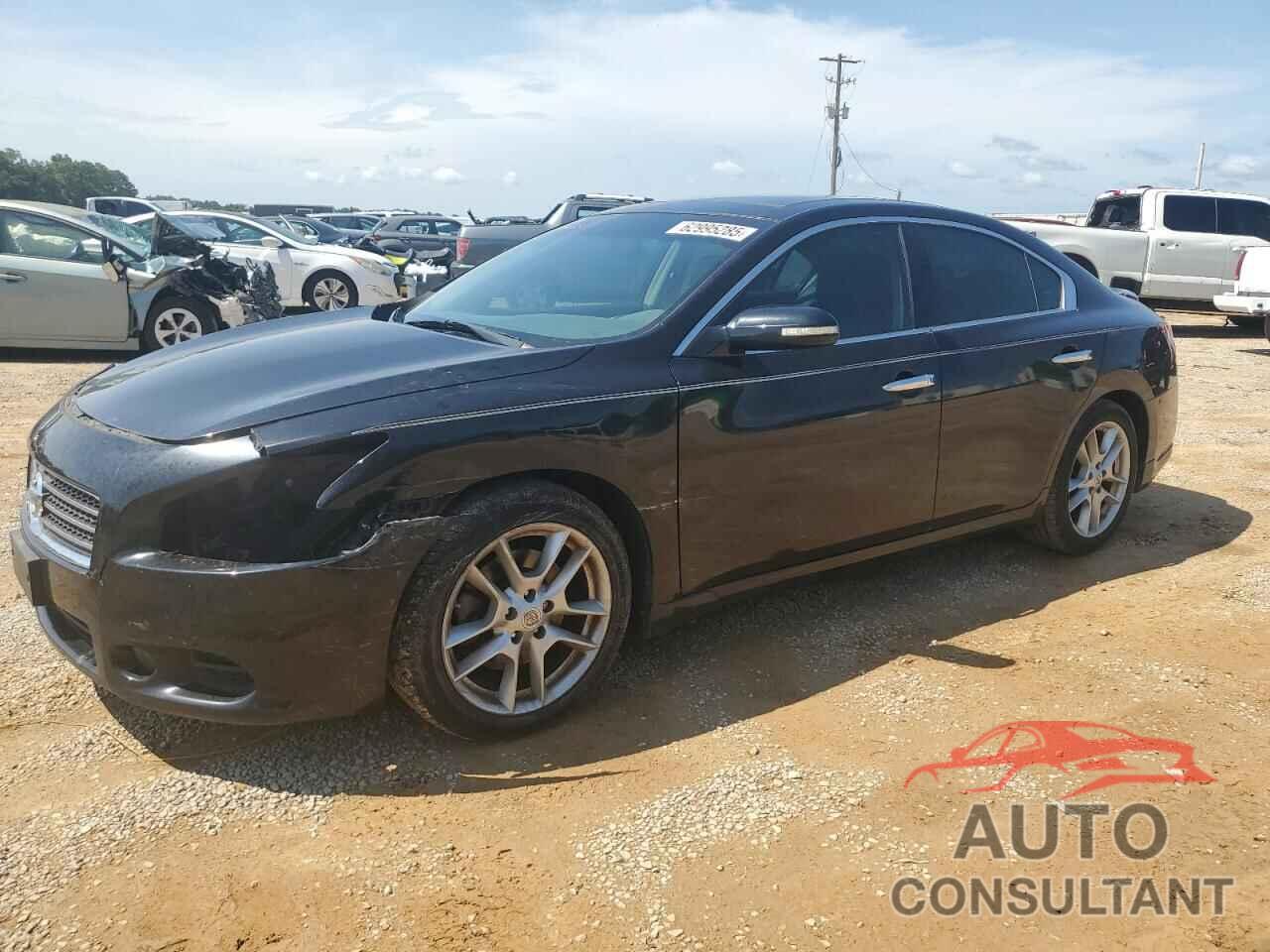NISSAN MAXIMA 2011 - 1N4AA5APXBC818157
