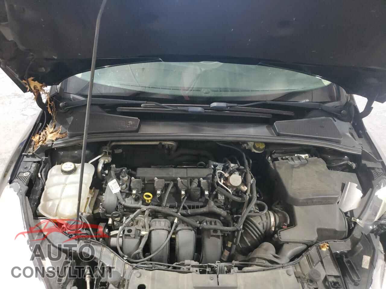 FORD FOCUS 2016 - 1FADP3K23GL342358