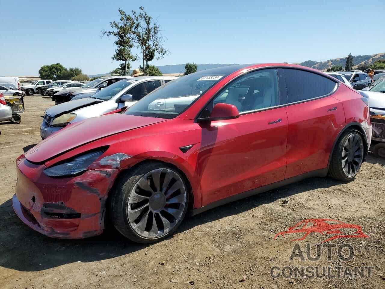 TESLA MODEL Y 2022 - 7SAYGDEF3NF407647