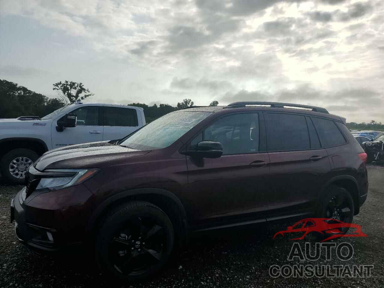 HONDA PASSPORT 2019 - 5FNYF8H08KB016651