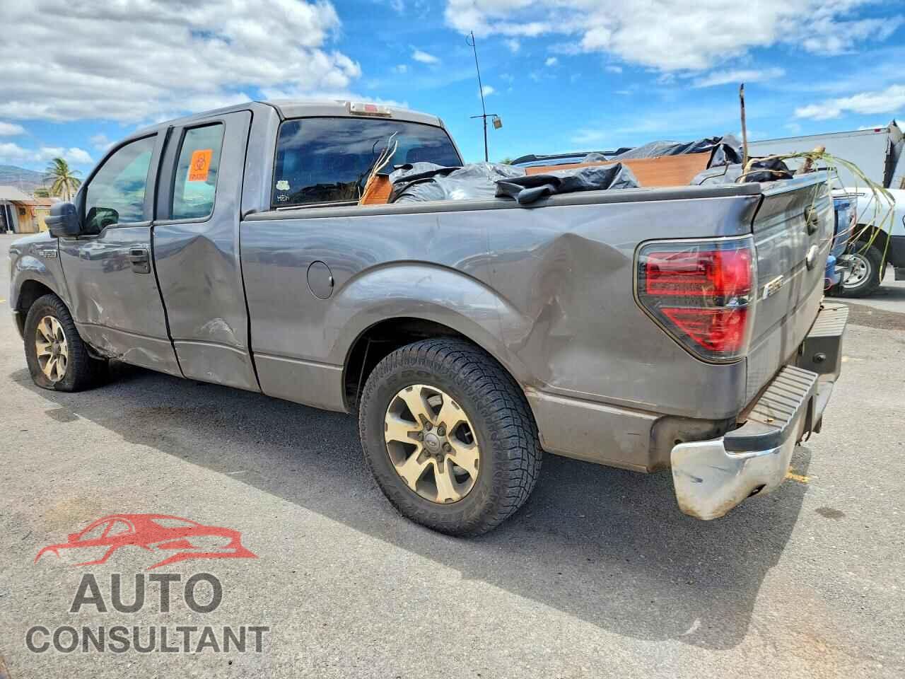 FORD F150 2014 - 1FTEX1CM2EKE02474