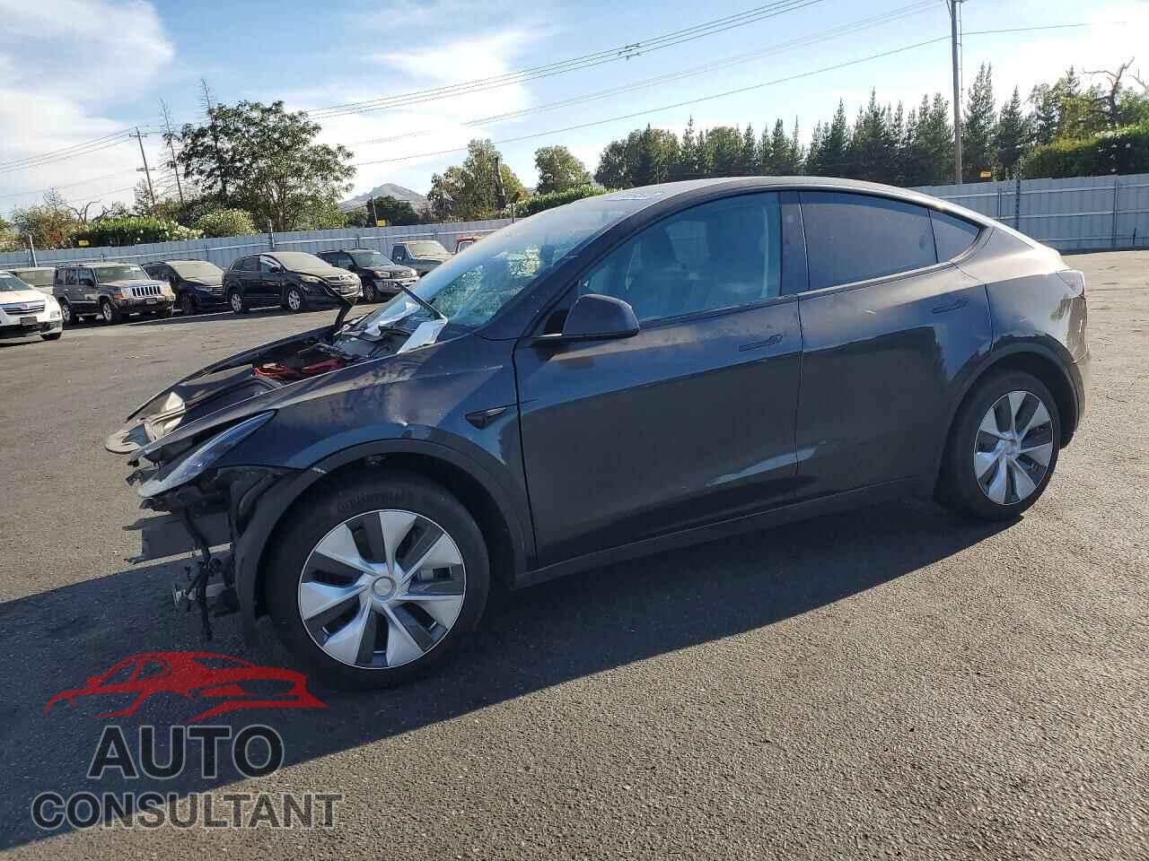 TESLA MODEL Y 2024 - 7SAYGDEE3RF031884