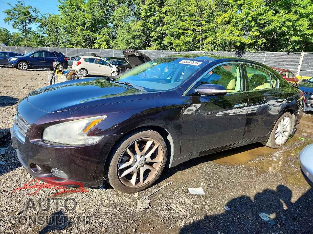 NISSAN MAXIMA 2011 - 1N4AA5AP6BC841936