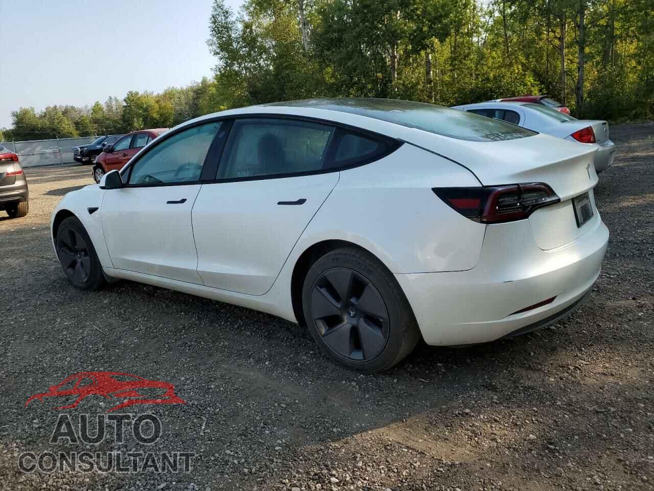 TESLA MODEL 3 2023 - 5YJ3E1EA7PF499025