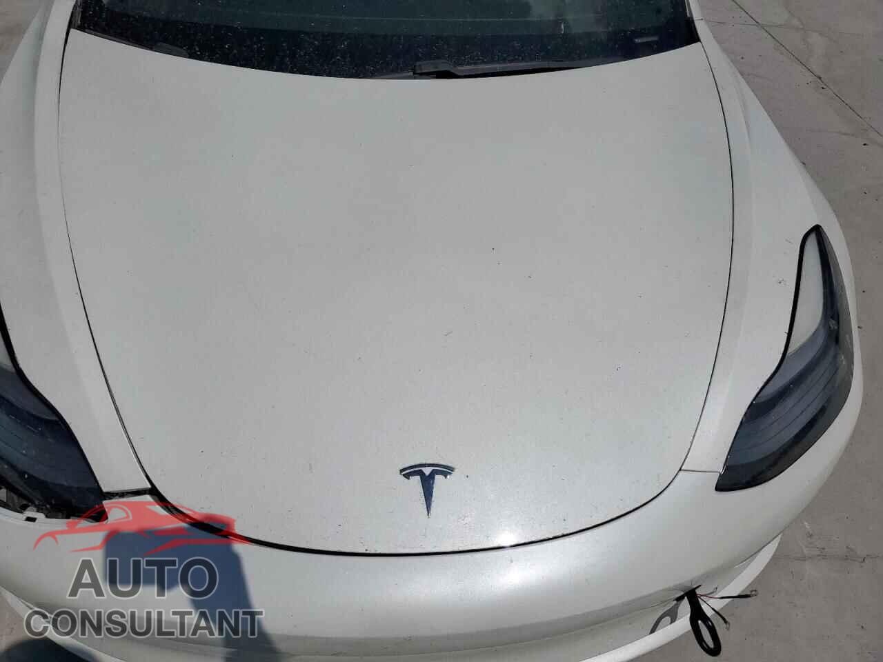 TESLA MODEL 3 2021 - 5YJ3E1EB7MF065014