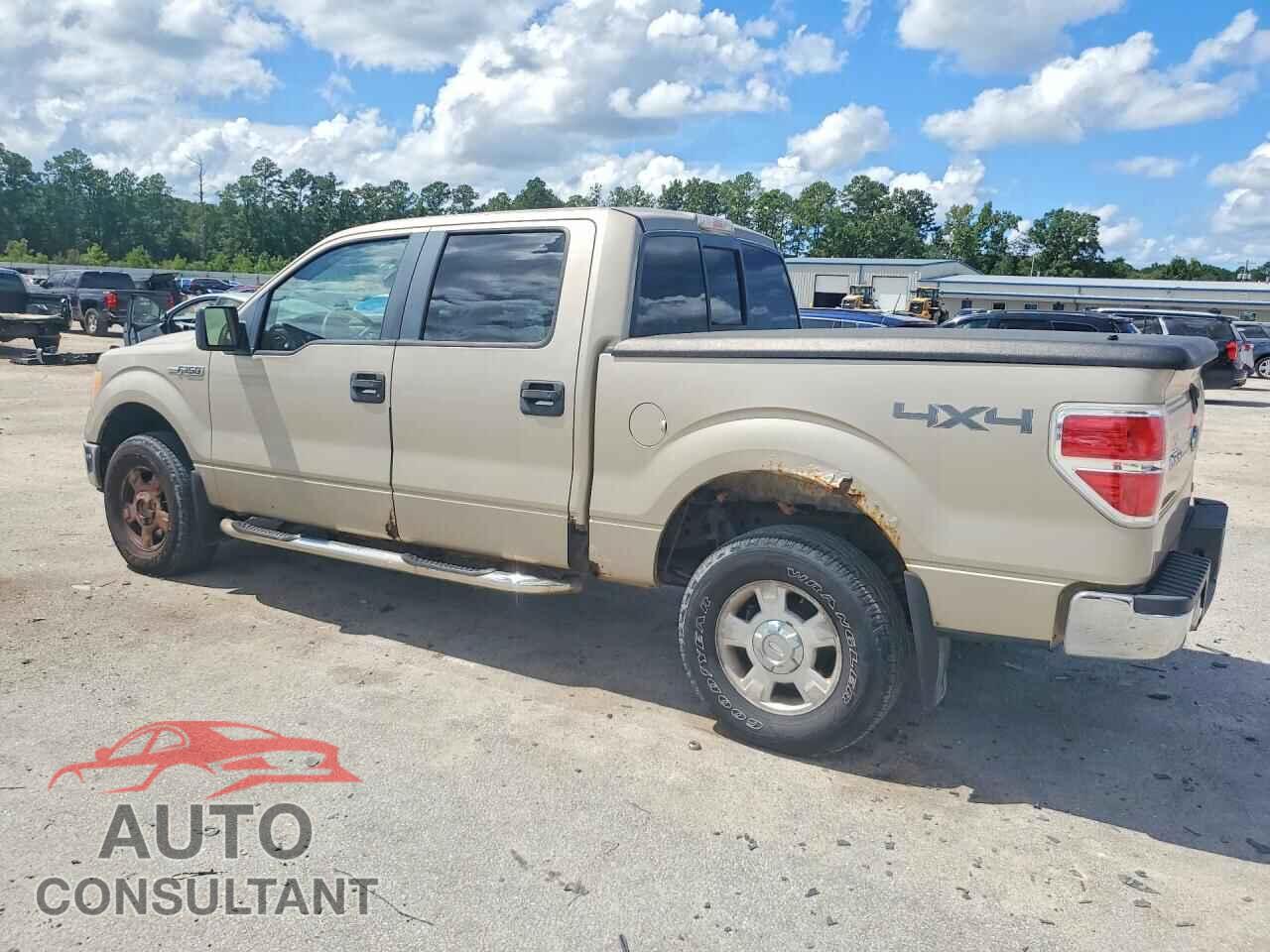 FORD F150 2010 - 1FTFW1EV9AFB23944