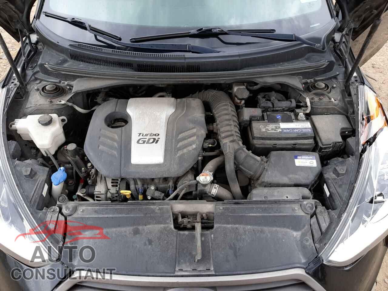HYUNDAI VELOSTER 2016 - KMHTC6AE9GU288312