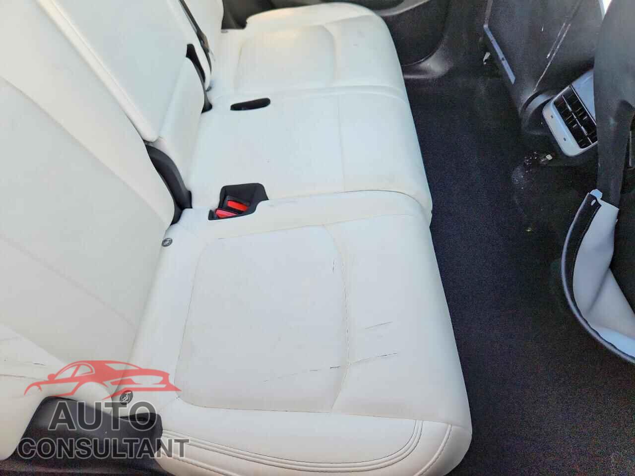 TESLA MODEL Y 2023 - 7SAYGAEE5PF856787