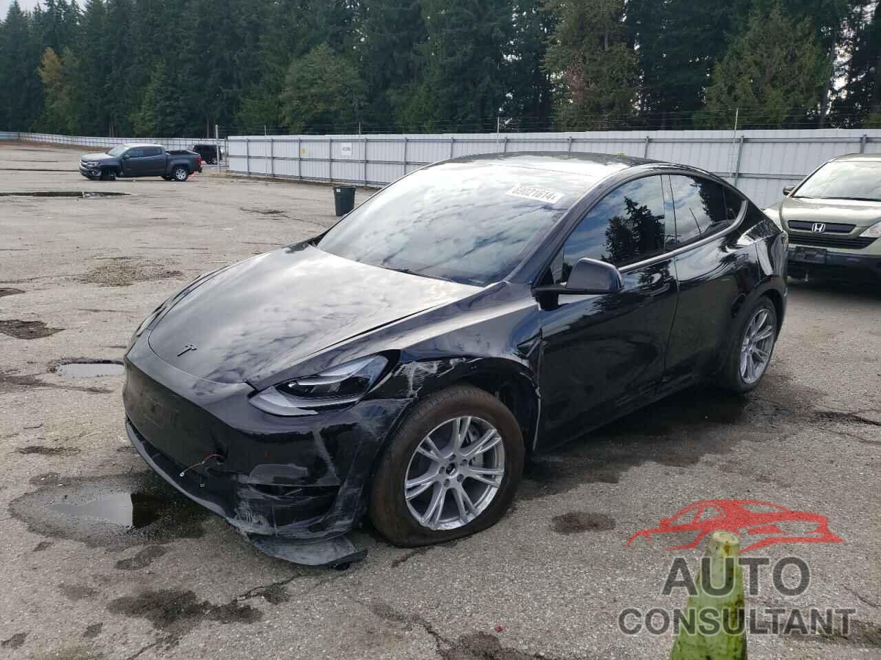 TESLA MODEL Y 2024 - 7SAYGDEE8RF983196