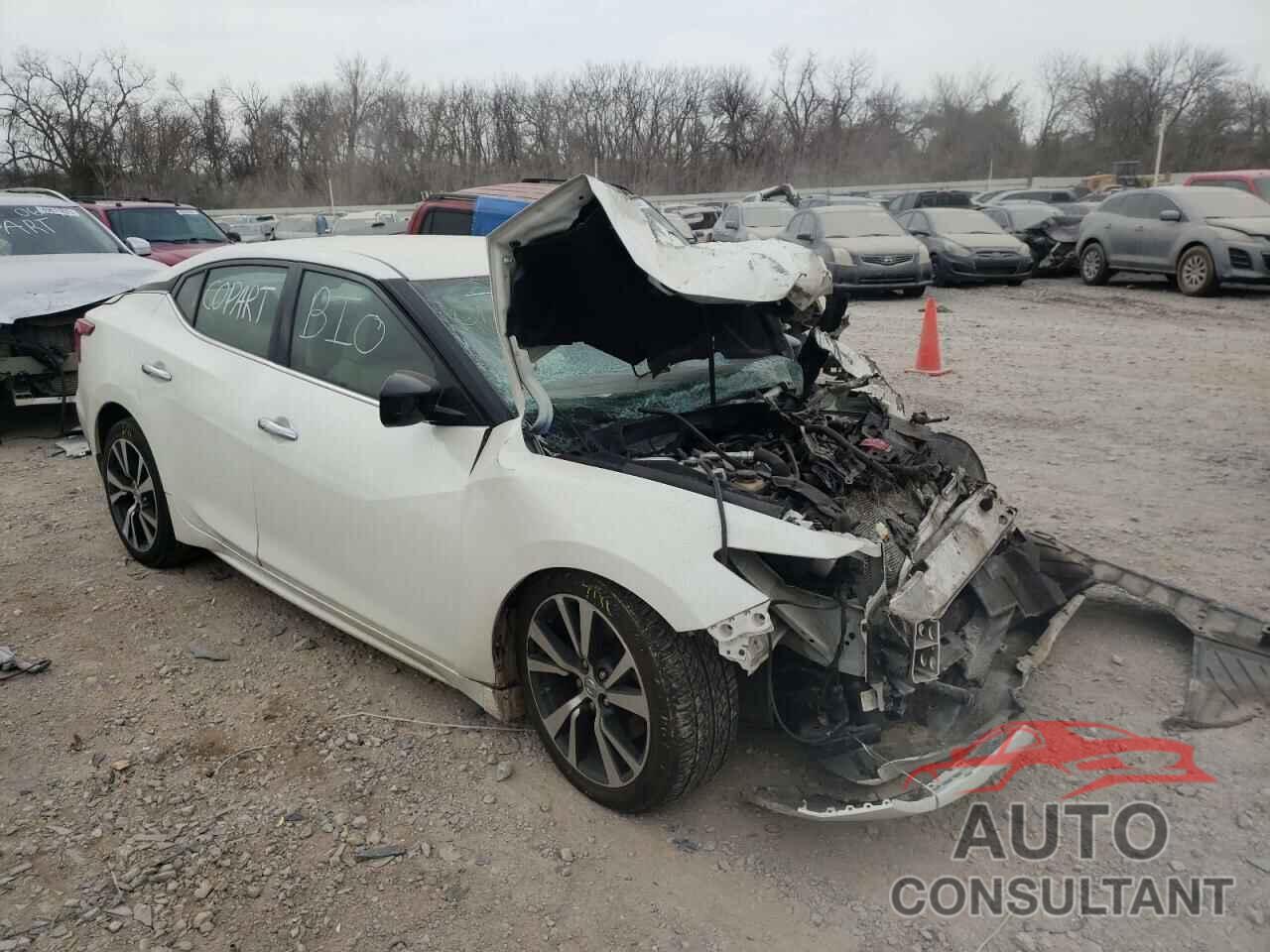 NISSAN MAXIMA 2017 - 1N4AA6APXHC385650