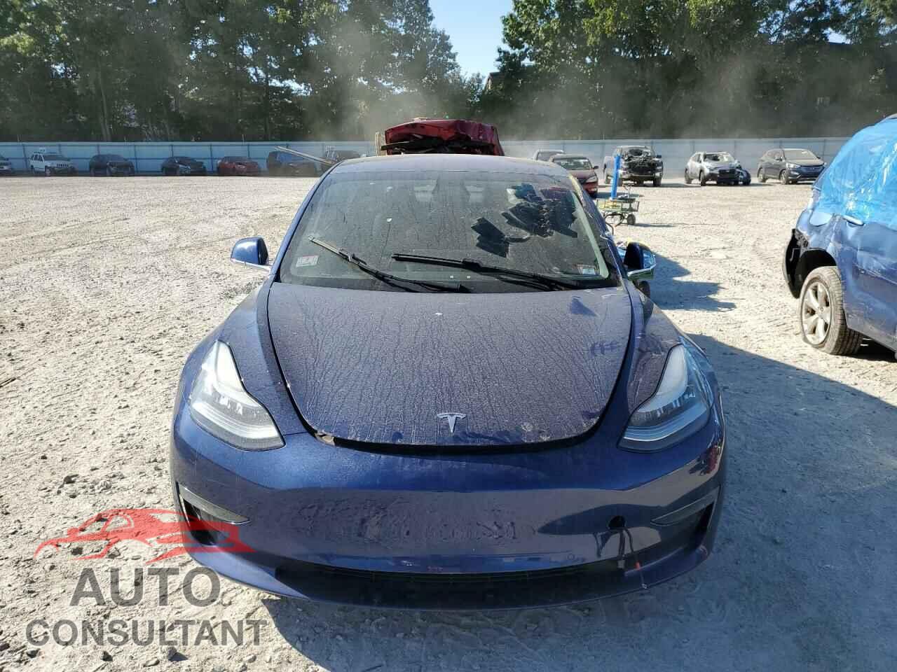 TESLA MODEL 3 2019 - 5YJ3E1EA5KF309151