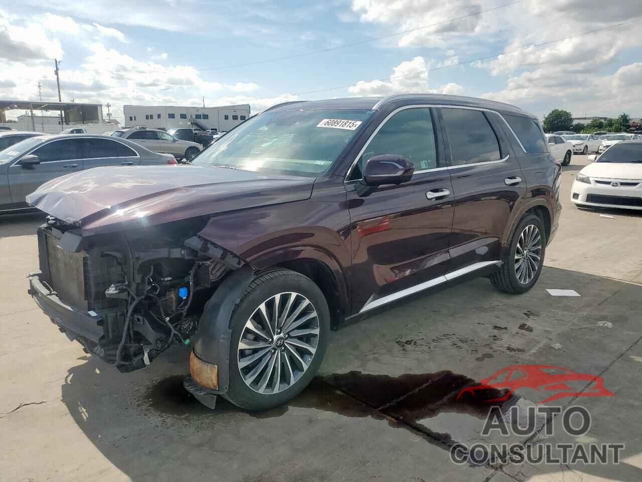 HYUNDAI PALISADE 2024 - KM8R74GE3RU718395