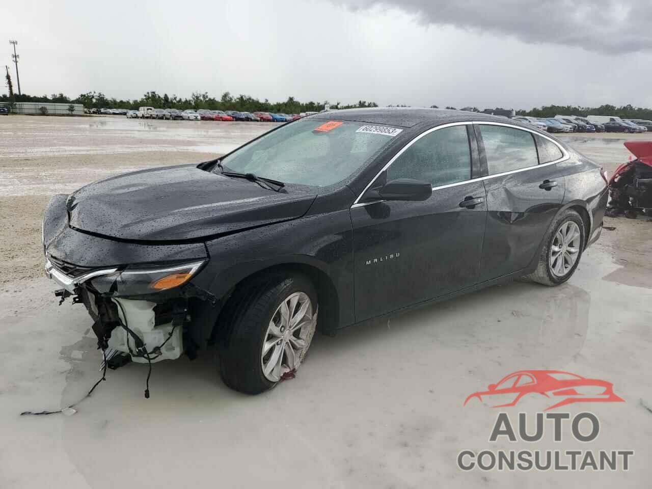 CHEVROLET MALIBU 2019 - 1G1ZD5ST9KF166249