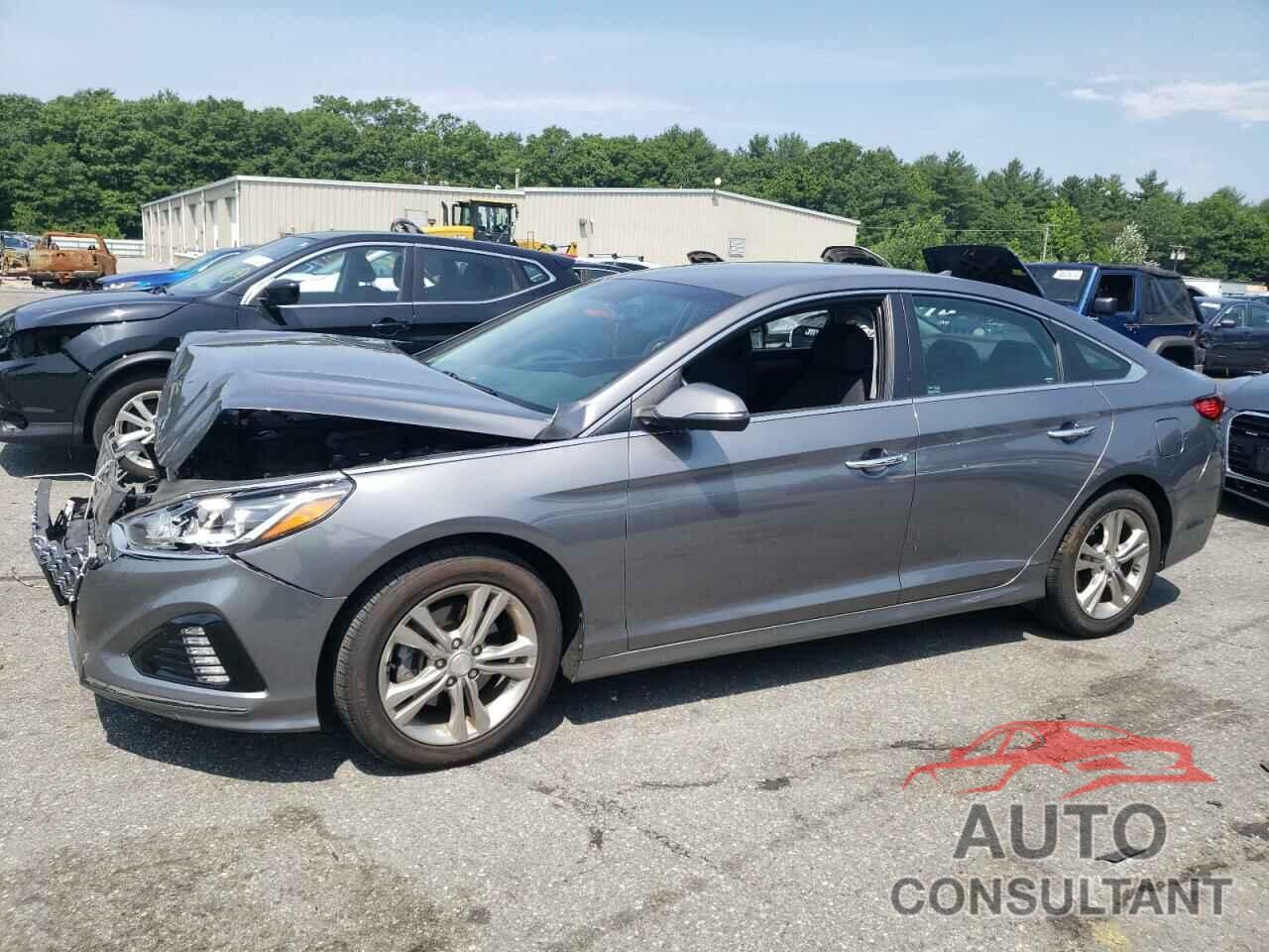 HYUNDAI SONATA 2019 - 5NPE34AF7KH817463