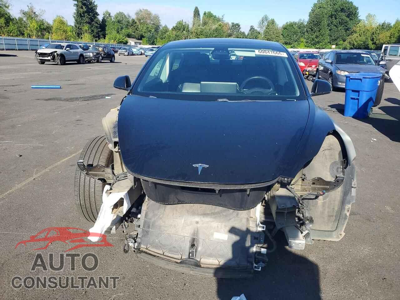 TESLA MODEL 3 2019 - 5YJ3E1EB8KF385035