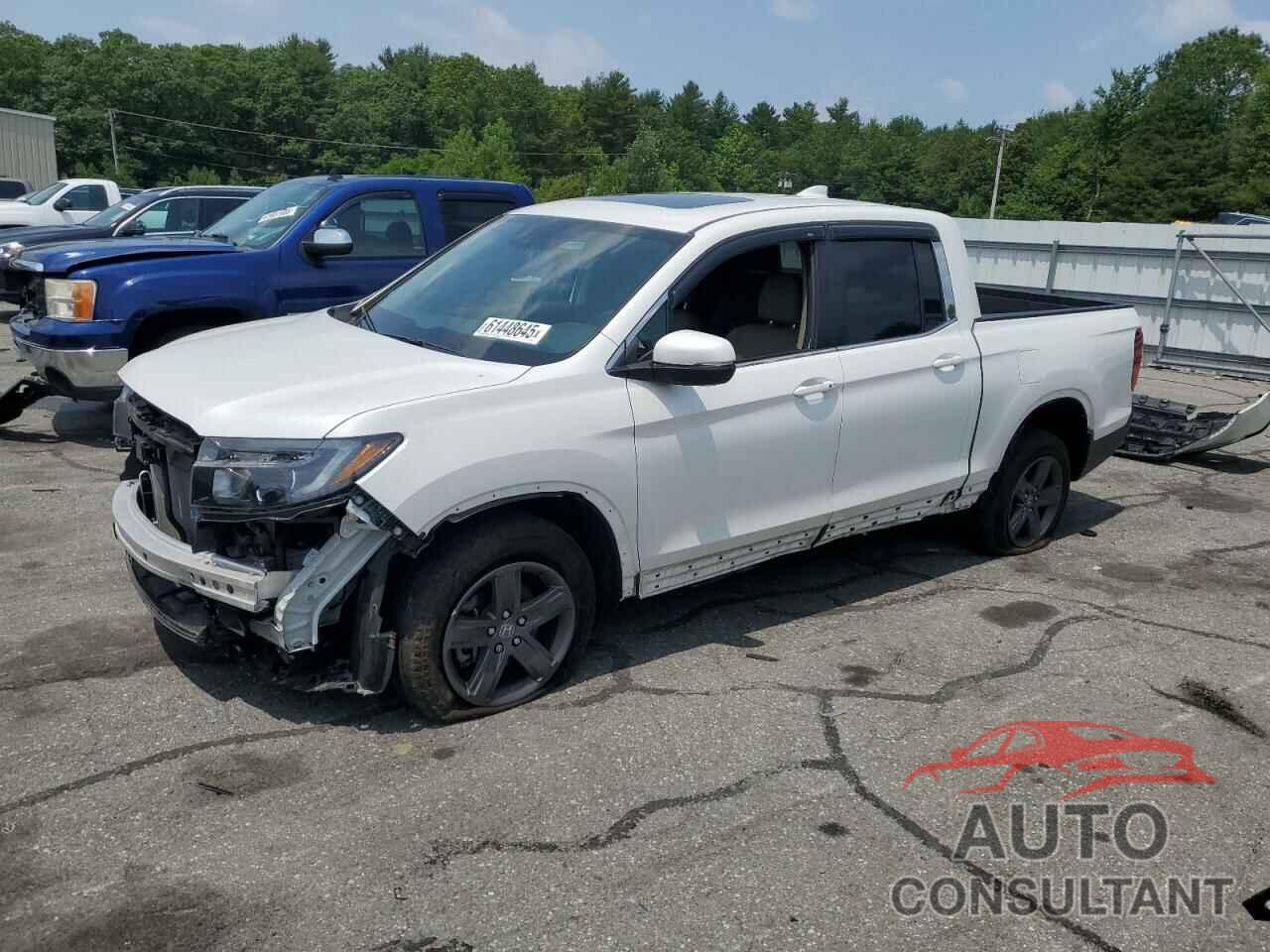 HONDA RIDGELINE 2023 - 5FPYK3F54PB038299
