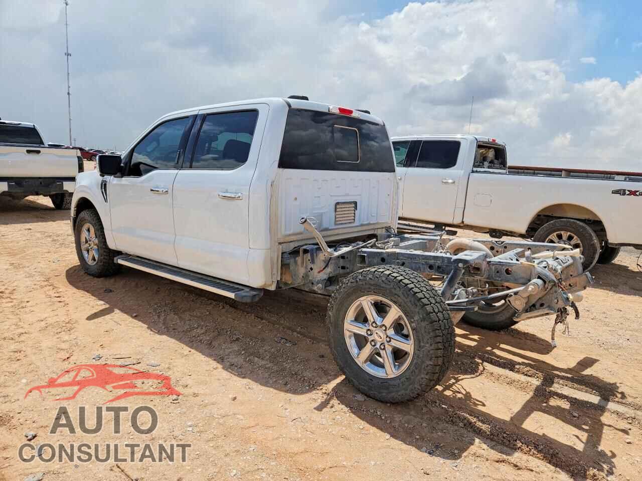 FORD All Models 2024 - 1FTFW3L88RFA21488