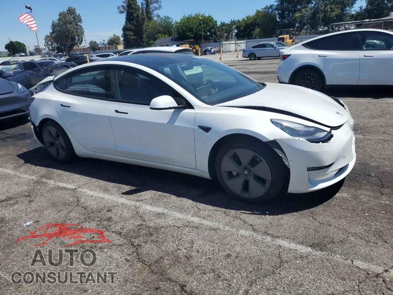 TESLA MODEL 3 2021 - 5YJ3E1EAXMF852000
