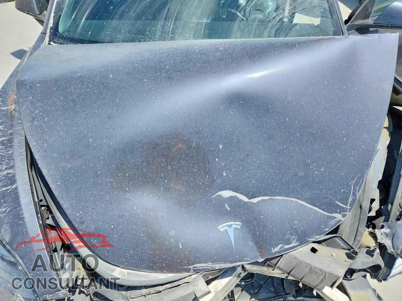TESLA MODEL 3 2021 - 5YJ3E1EA0MF098203