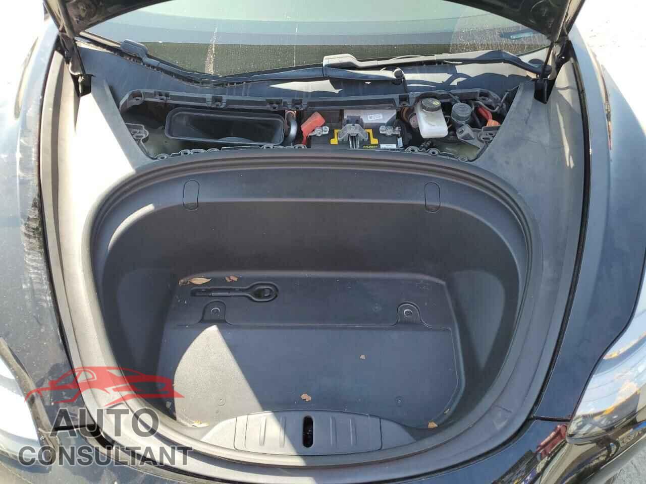 TESLA MODEL 3 2019 - 5YJ3E1EA3KF398055
