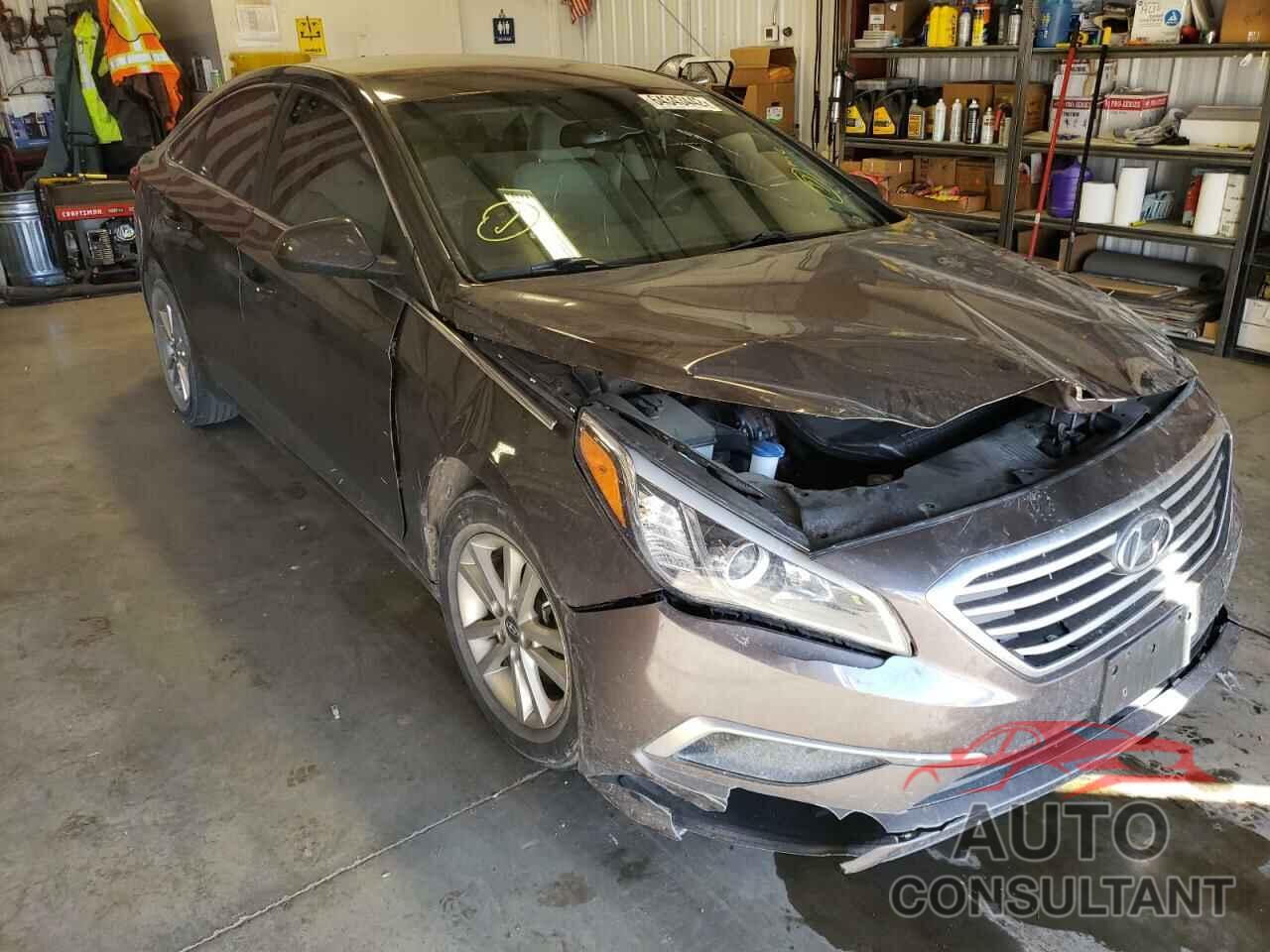HYUNDAI SONATA 2017 - 5NPE24AF2HH474198