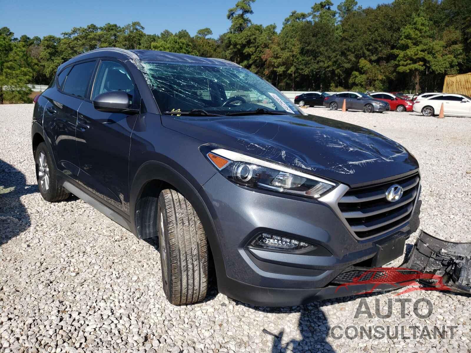 HYUNDAI TUCSON 2017 - KM8J33A47HU462537