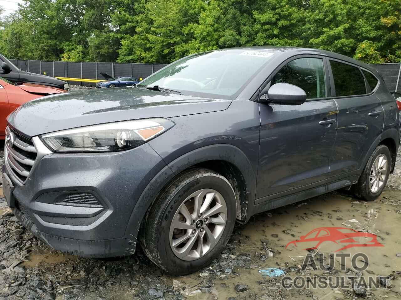 HYUNDAI TUCSON 2017 - KM8J23A43HU290378