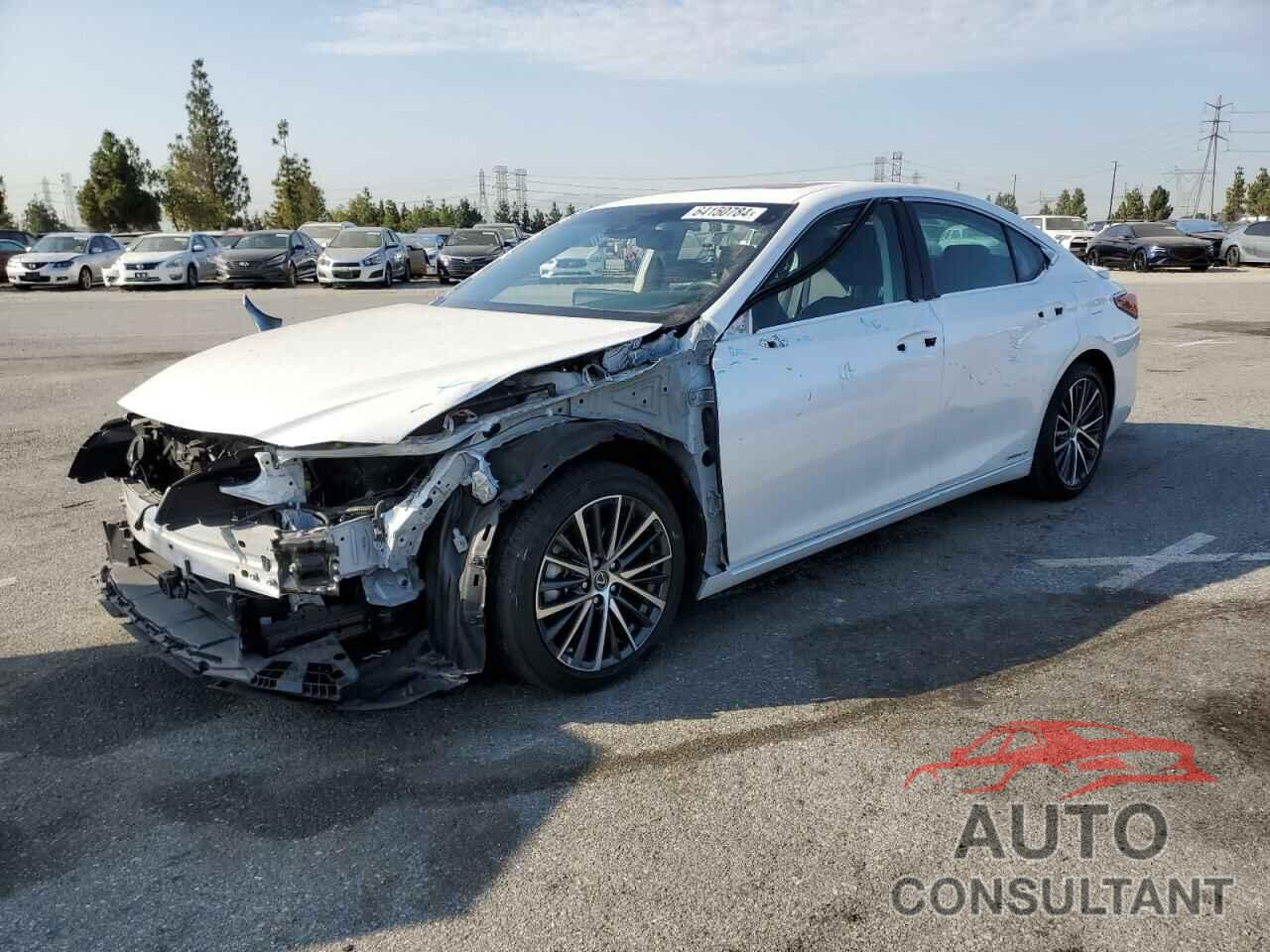 LEXUS ES300 2022 - 58ADA1C18NU018131
