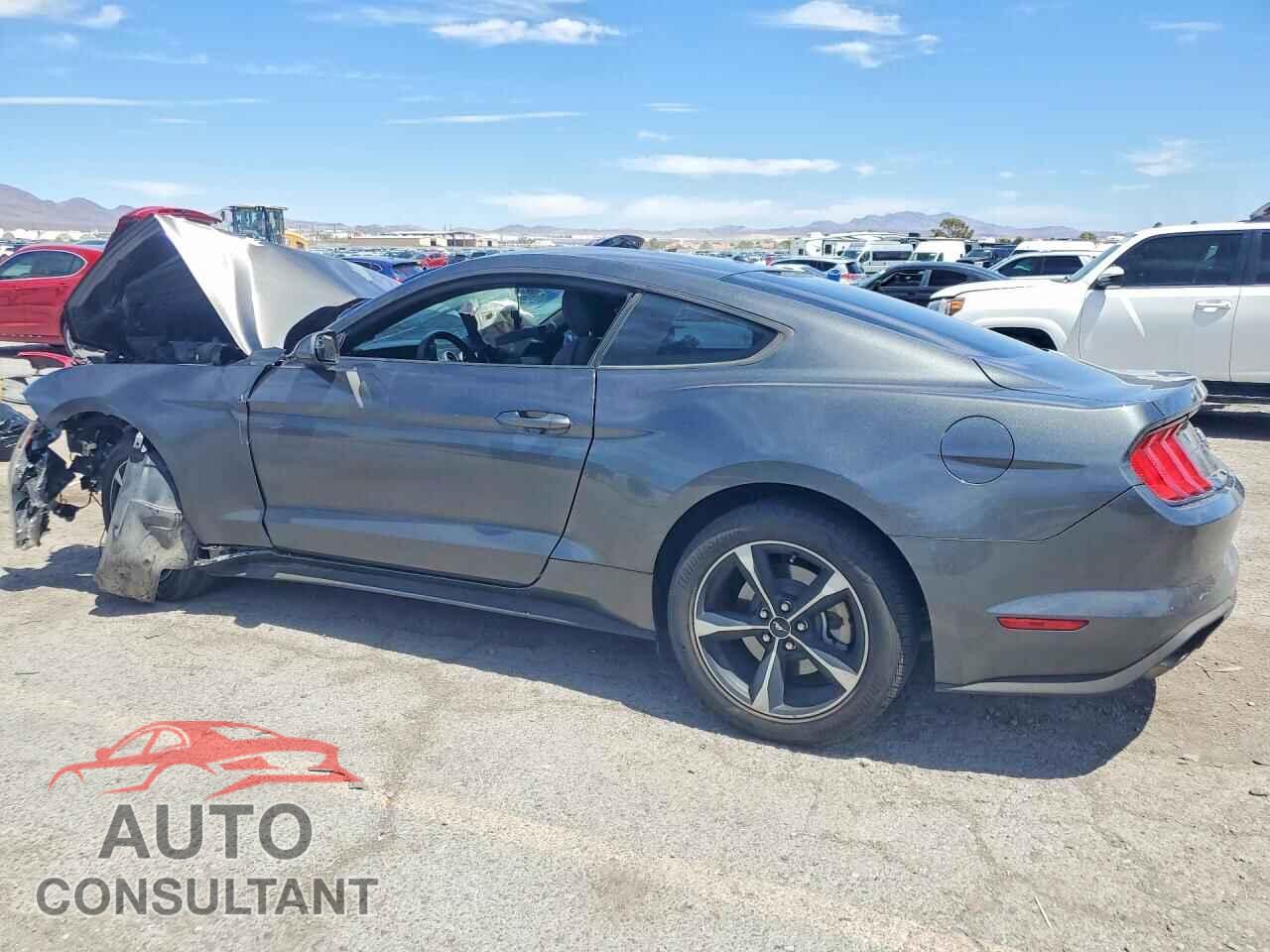 FORD MUSTANG 2019 - 1FA6P8TH0K5181330