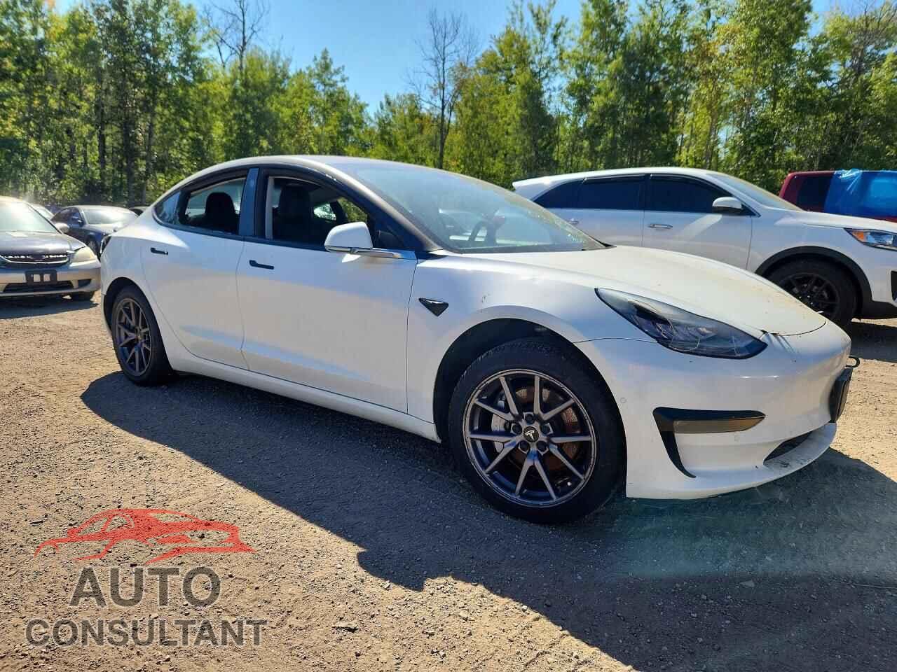 TESLA MODEL 3 2019 - 5YJ3E1EA4KF309867