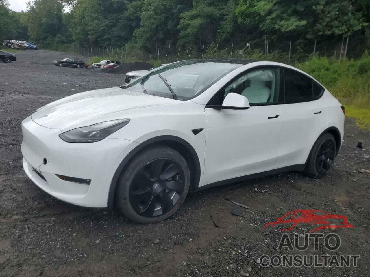 TESLA MODEL Y 2023 - 7SAYGDEE1PF699910