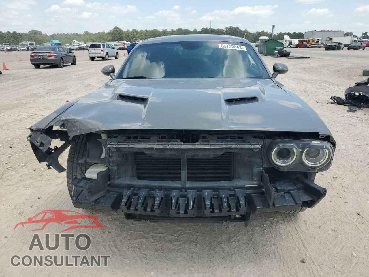 DODGE CHALLENGER 2019 - 2C3CDZAG3KH668671