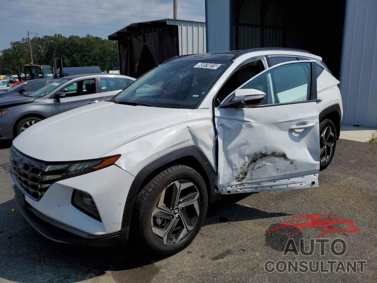 HYUNDAI TUCSON 2024 - 5NMJECDE6RH329182