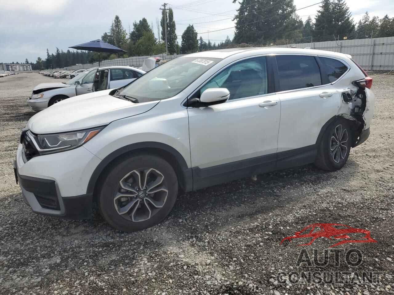 HONDA CRV 2022 - 7FARW2H54NE032349