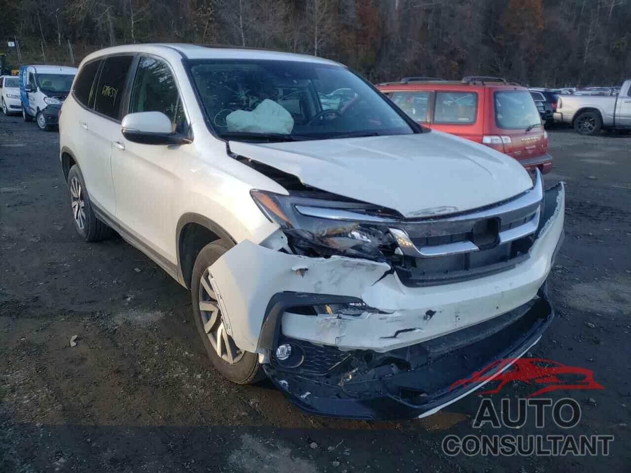 HONDA PILOT 2019 - 5FNYF6H59KB007053