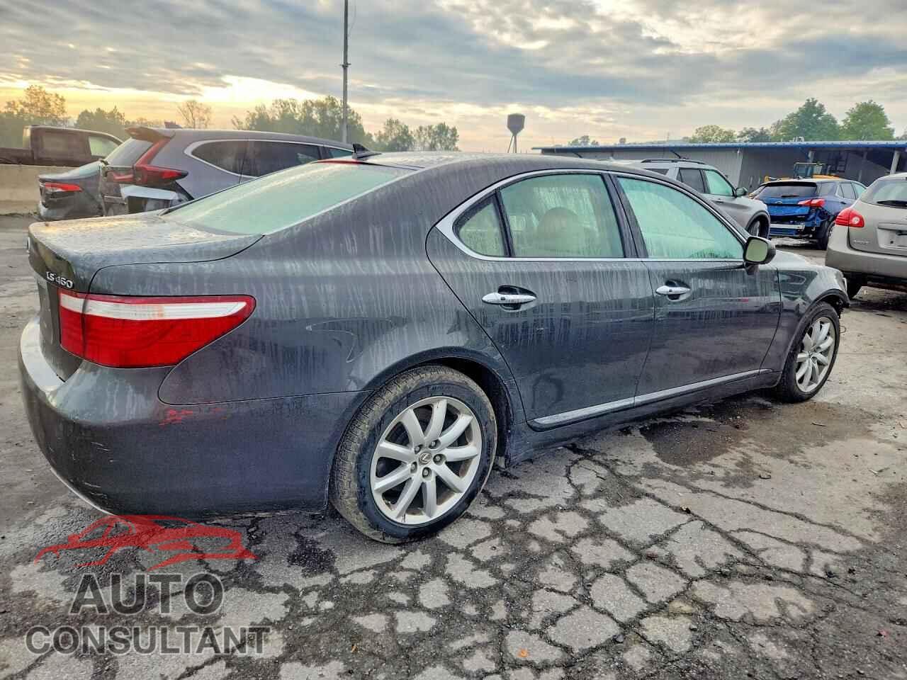 LEXUS LS460 2009 - JTHCL46F695000574