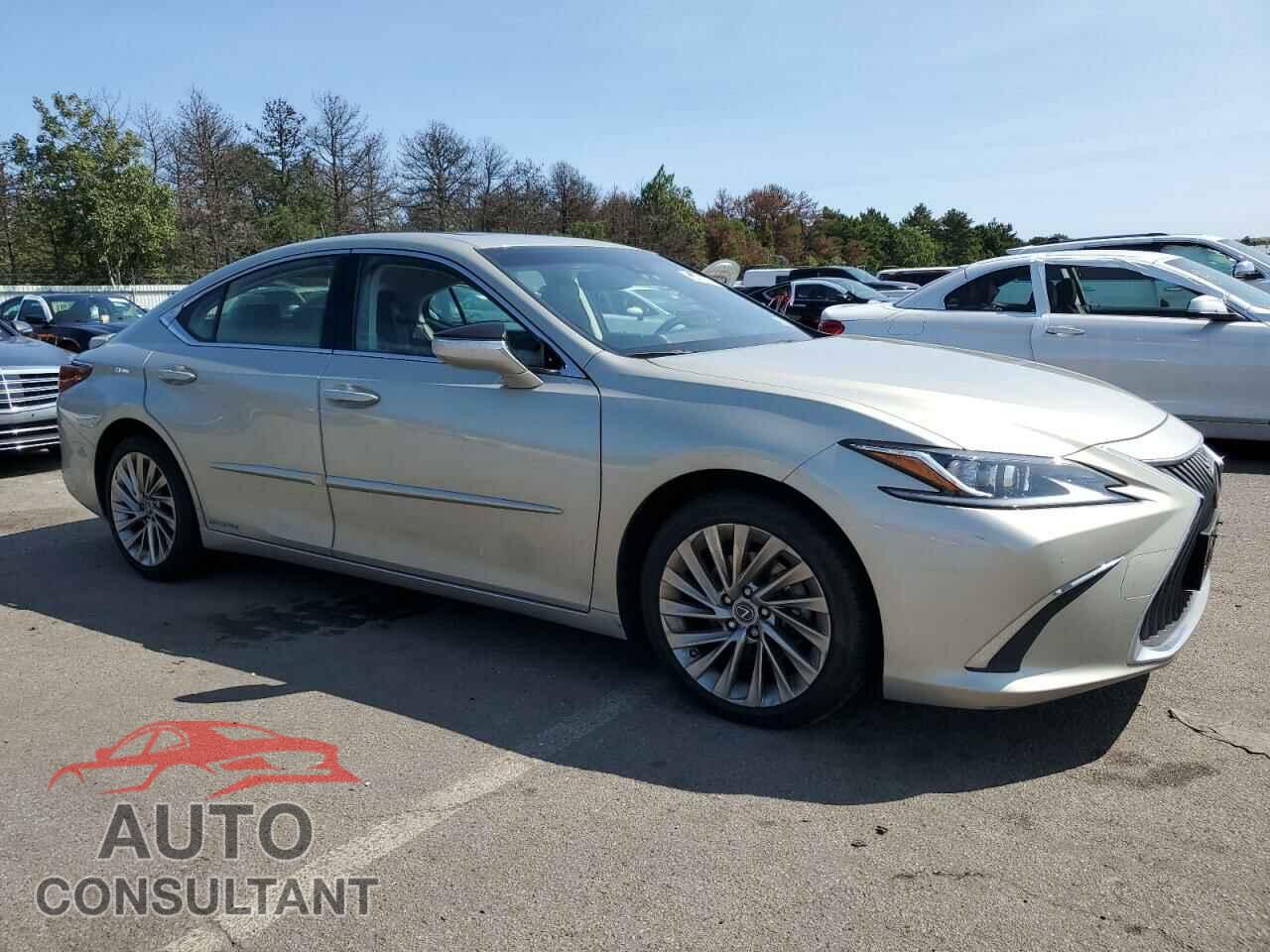 LEXUS ES300 2019 - JTHB21B17K2012151