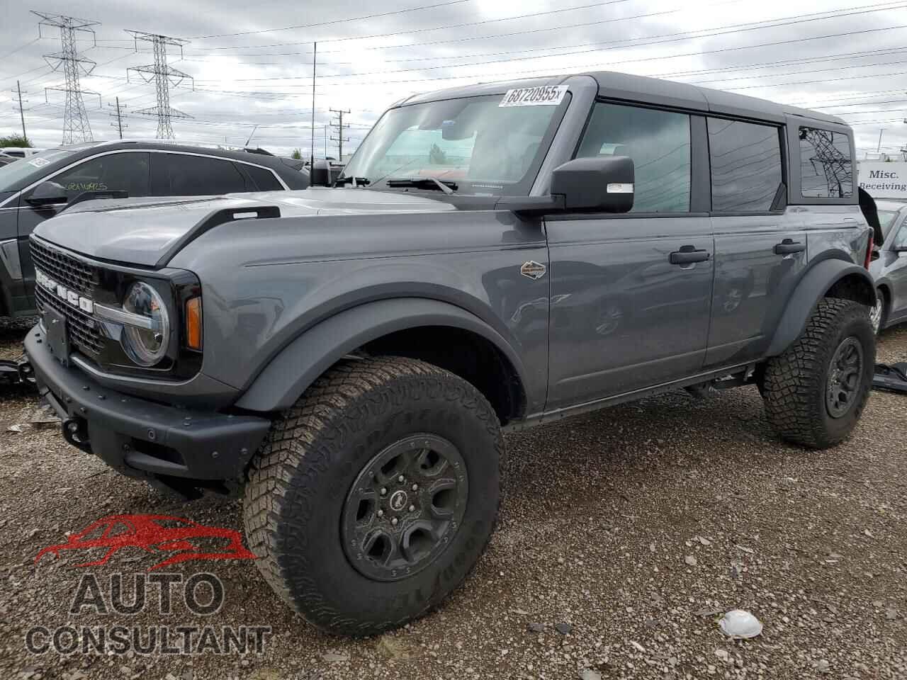 FORD BRONCO WIL 2024 - 1FMEE2BP5RLA51160