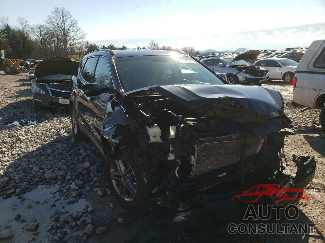 HYUNDAI SANTA FE 2017 - 5NMZUDLB2HH007723