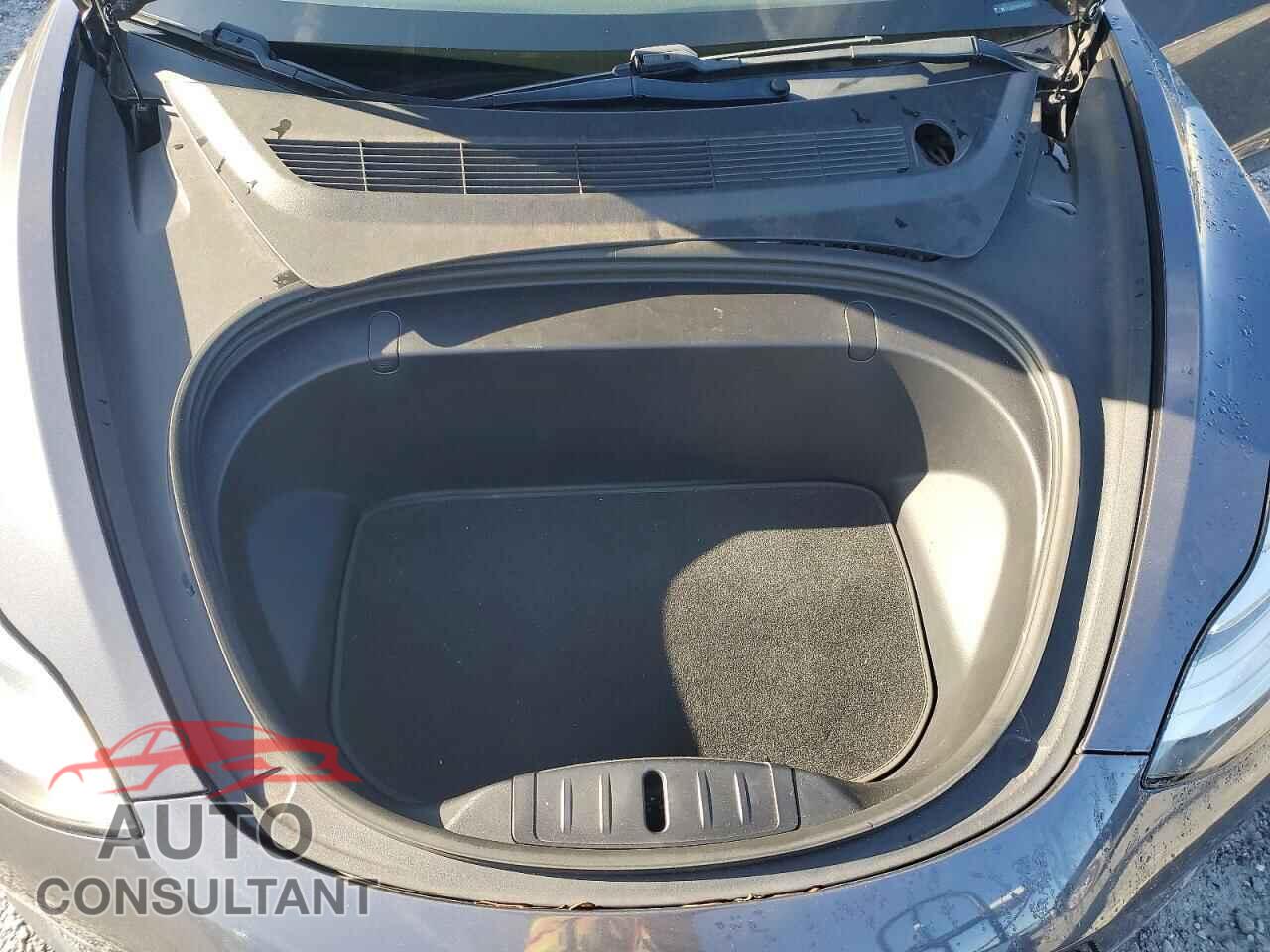 TESLA MODEL 3 2019 - 5YJ3E1EA8KF331323
