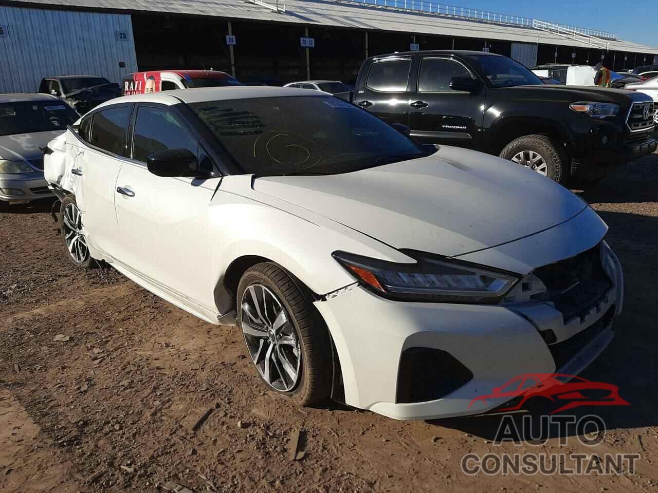 NISSAN MAXIMA 2019 - 1N4AA6AV2KC361428