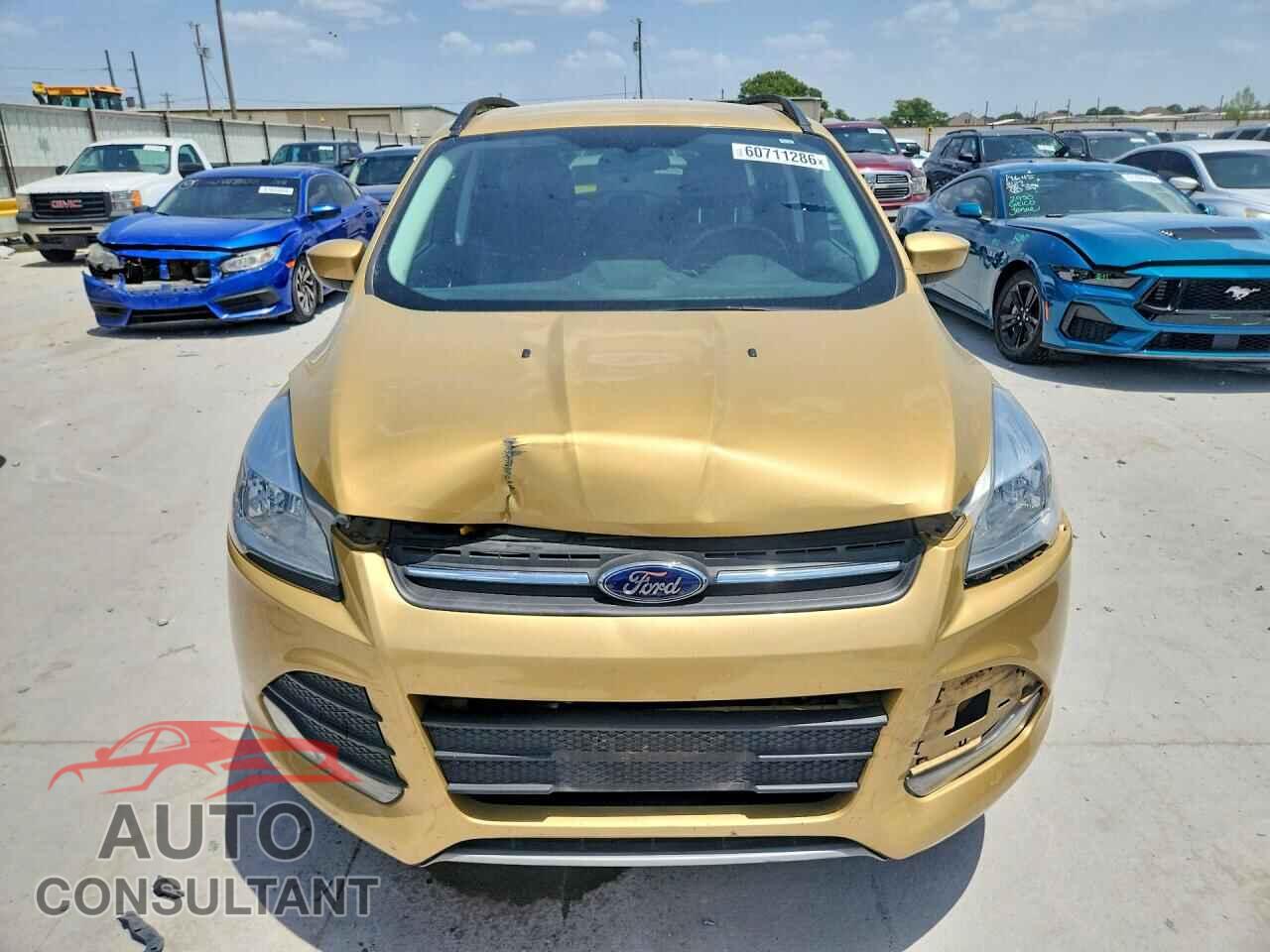 FORD ESCAPE 2014 - 1FMCU0GX4EUD41983