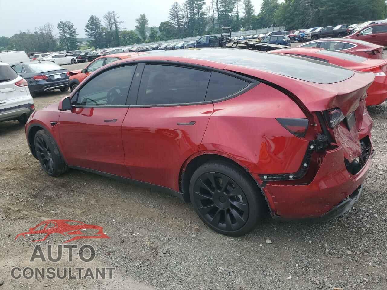 TESLA MODEL Y 2024 - 7SAYGDEE6RF043608