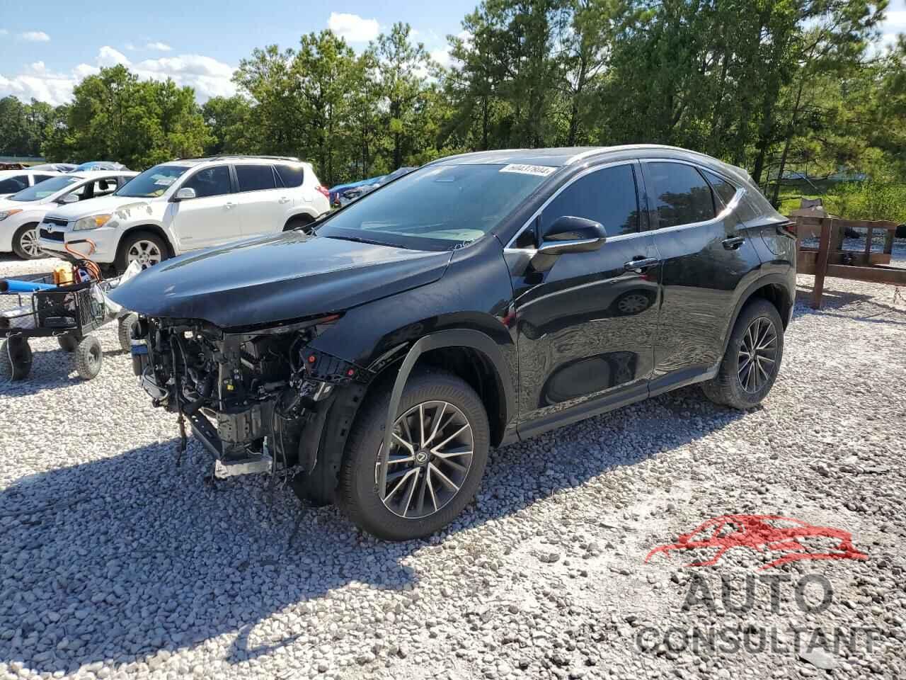 LEXUS NX 250 PRE 2024 - 2T2GDCAZ6RC015067