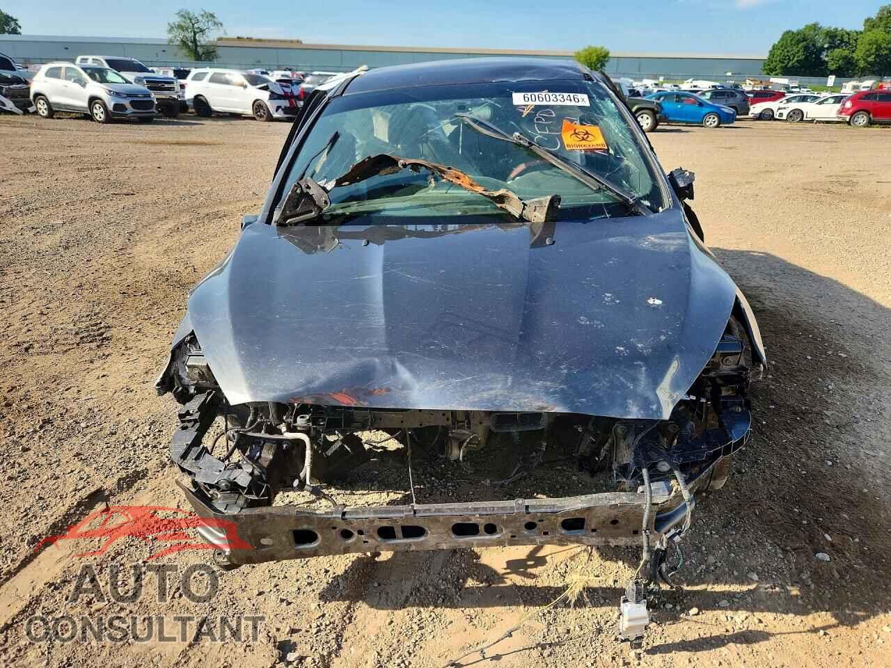 FORD FOCUS 2016 - 1FADP3L9XGL215831