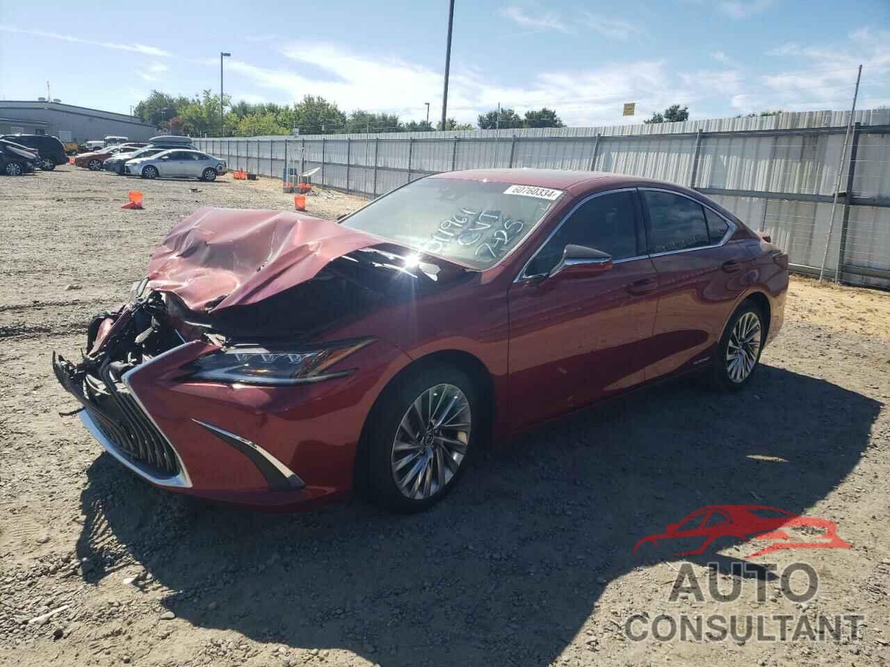 LEXUS ES300 2021 - 58AEA1C1XMU011961